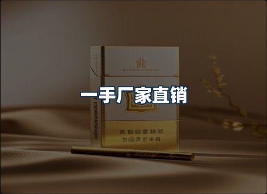 专业团队办公环境